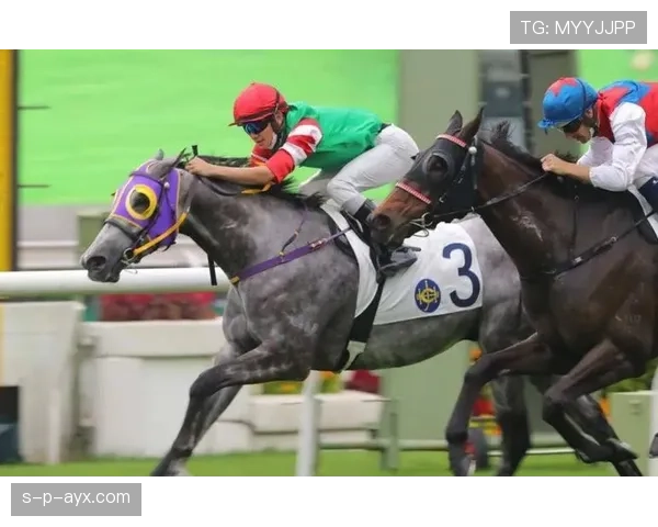 卡梅隆·麦沃伊勇夺世界青年赛金牌 展现新星风采