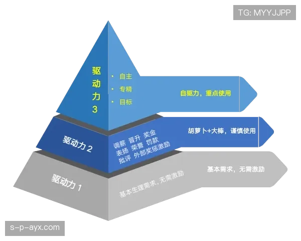 埃里克森风格分析：组织核心作用与比赛节奏掌控能力解析